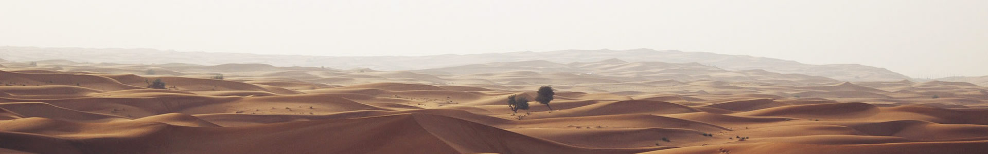 ݳϴﺣ޹˾